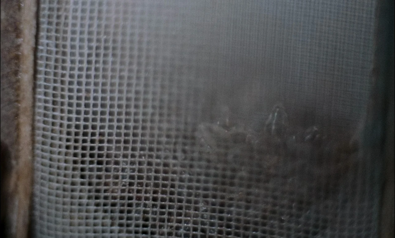 The Third Part of the Night (1971) movie still: closeup — A fine-gauge metal mesh screen is shown in extreme close-up detail. Particles of sediment…