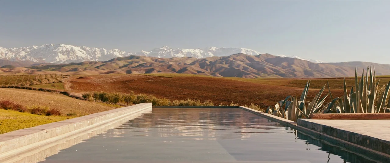 Revenge (2017) movie still: establishing — An infinity pool edge overlooks rolling arid hills and snow-capped mountain ranges. Large agave plants…