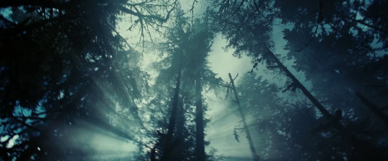 Twilight (2008) movie still: establishing — Dense evergreen trees rise toward the sky in a thick, overcast coniferous forest. Atmospheric haze and…