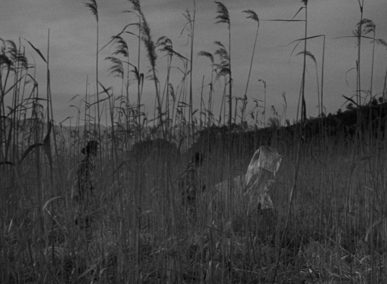 Ugetsu (1953) movie still: wide — An open field densely packed with tall, slender reeds against a muted sky. Two figures move through the tall…