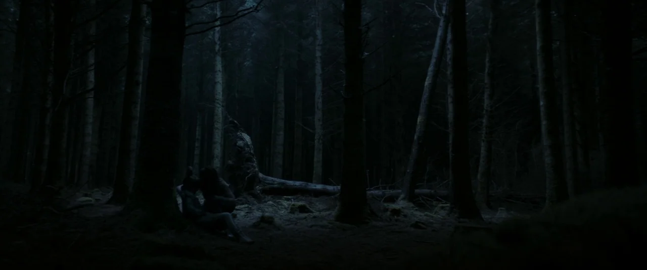 The Hole in the Ground (2019) movie still: wide — A dense, dark woodland area with tall pine trees and mossy ground cover. Two indistinct figures…