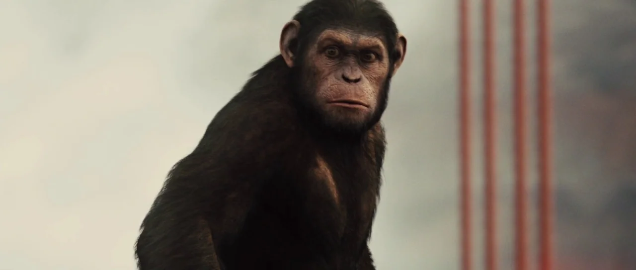 Rise of the Planet of the Apes (2011) movie still: medium — A chimpanzee is positioned against a backdrop of red industrial structural elements. The…