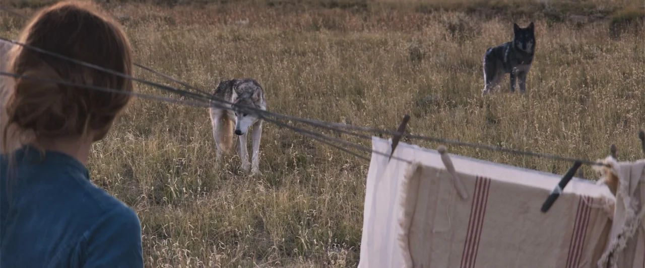 The Wind (2005) movie still: medium — An open grassy field contains a clothesline with laundry drying in the sunlight. A woman stands in the…