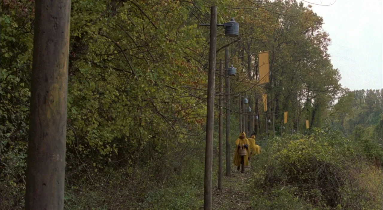 The Village (2004) movie still: wide — A trail through dense woods is lined with a row of wooden utility poles. Two figures dressed in long yellow…