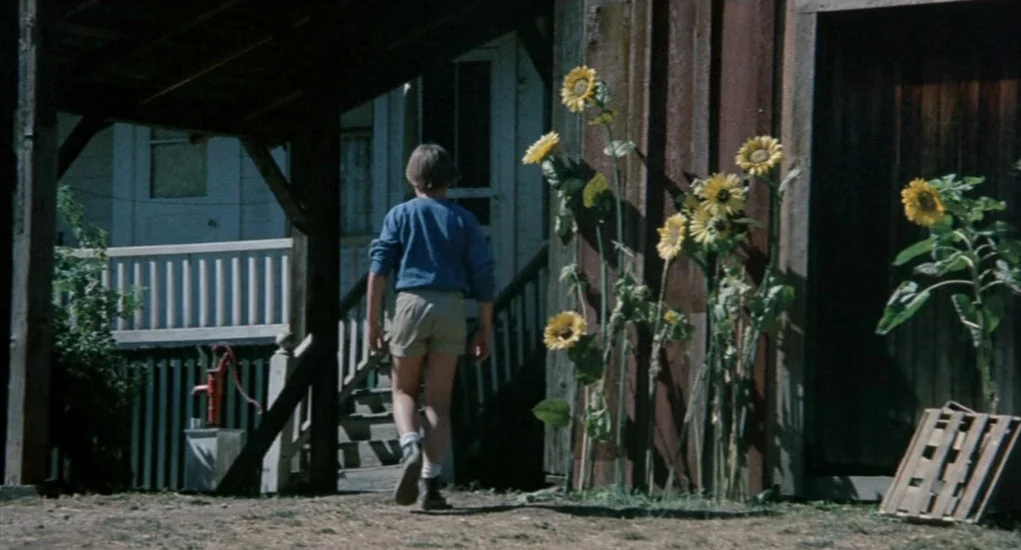The Other (1972) movie still: fullbody — A rustic wooden structure stands beside a white house with a porch. A young boy walks across the dirt…