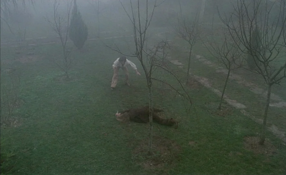 Black Moon (1975) movie still: wide — A foggy outdoor field is sparsely populated by thin, leafless trees under grey skies. A man in light clothing…