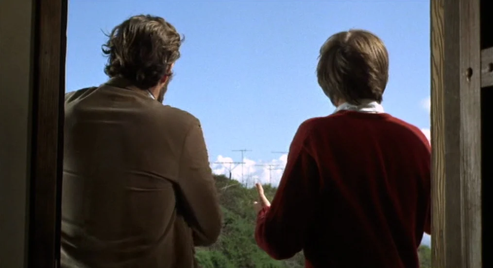 The Trip (1967) movie still: medium — A wooden door frame frames two men standing and looking out at a hillside. The background shows a grassy slope…