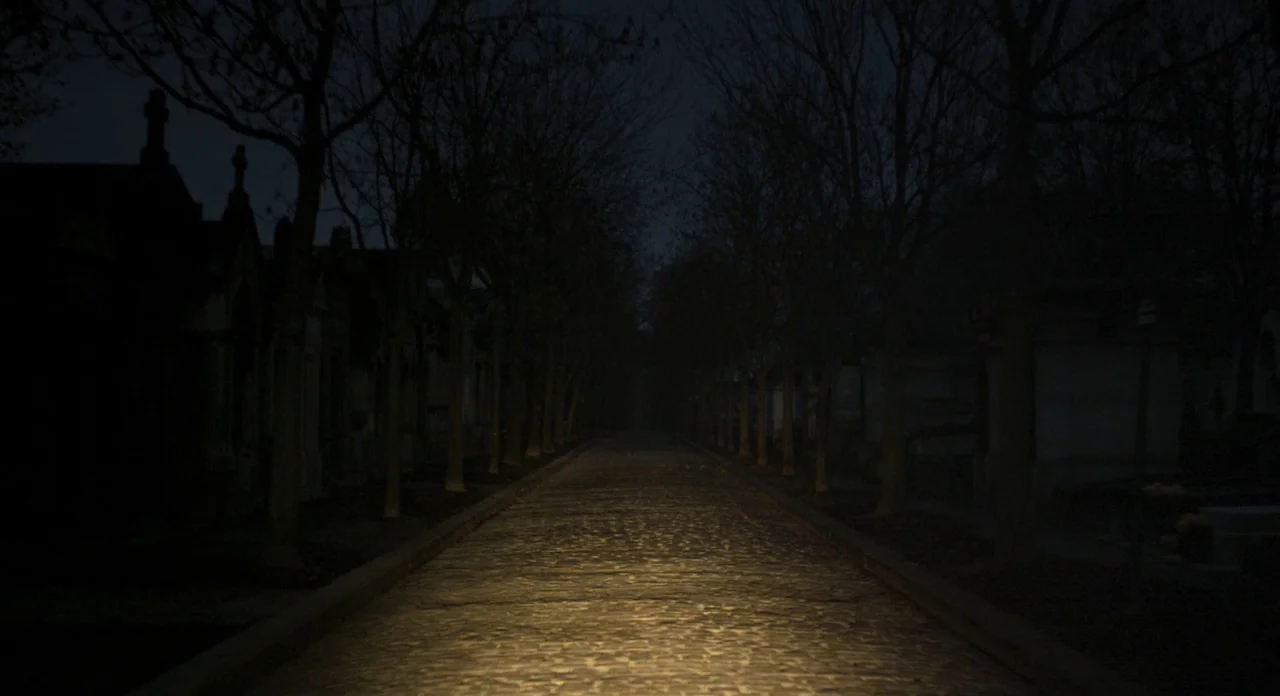 Holy Motors (2012) movie still: establishing — A stone paved path stretches through a cemetery lined with rows of leafless trees. Rows of dark stone…