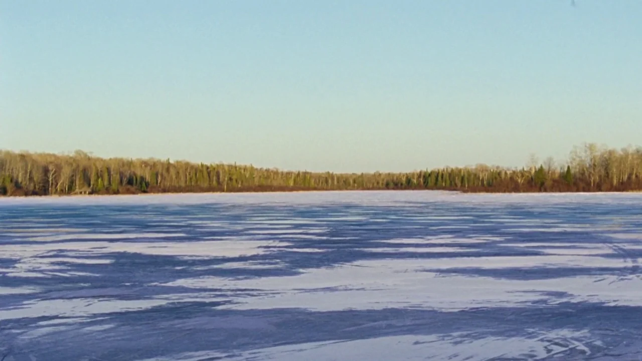 I Am Not a Serial Killer (2016) movie still: wide — A frozen lake surface stretches toward a distant, dense line of bare trees. The ice features…