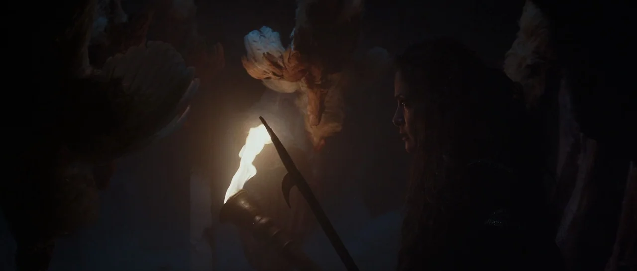Tale of Tales (2015) movie still: medium — A dark, dimly lit environment features hanging feathered objects and a single lit torch. A woman with…