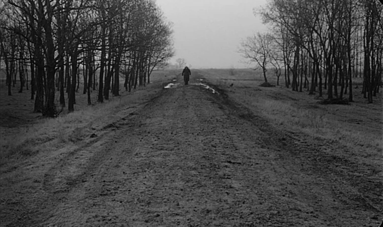 Sátántangó (1994) movie still: wide — A dirt path flanked by leafless, barren trees stretches into the misty, flat horizon. A single, dark-clothed…