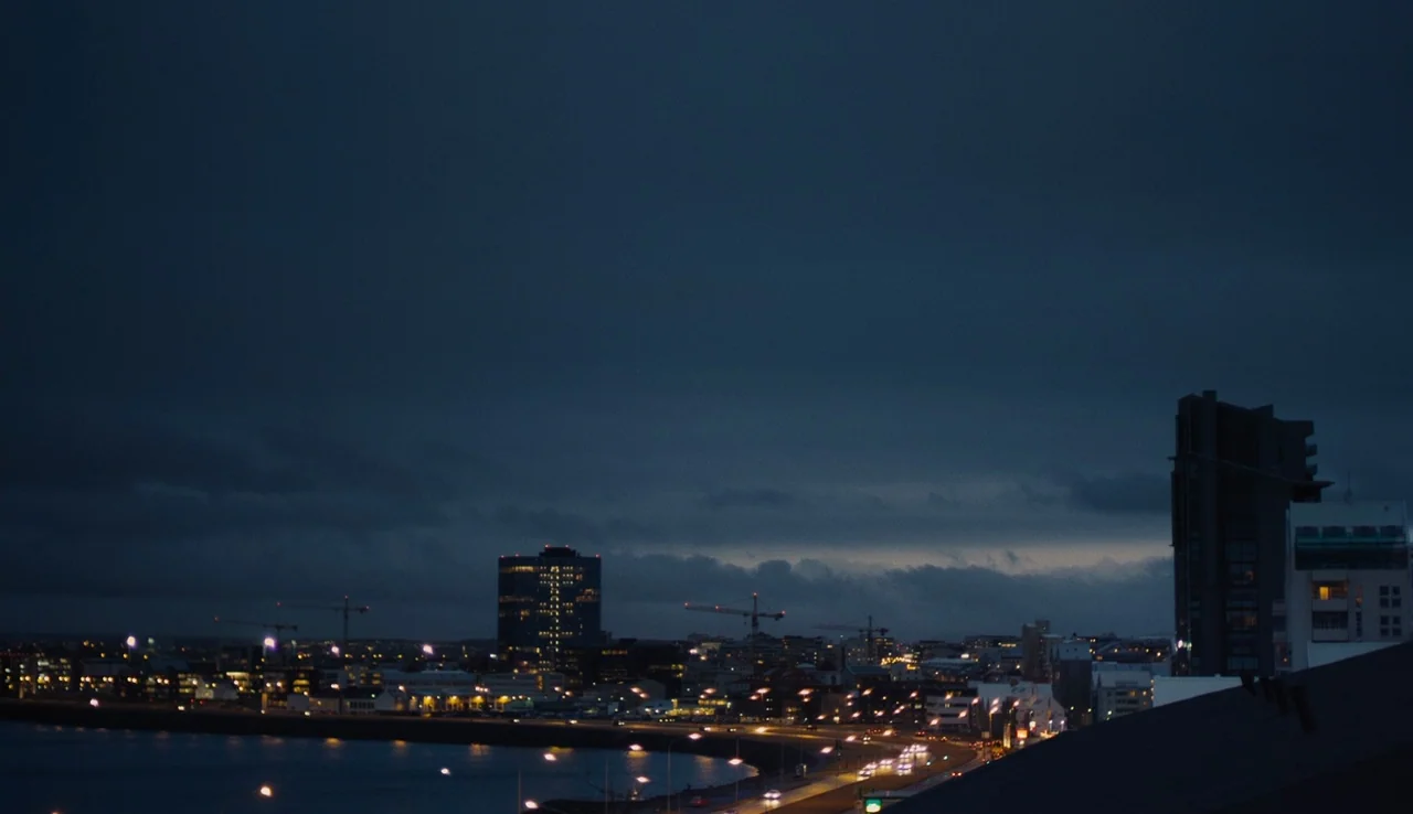 Land Ho! (2014) movie still: establishing — A wide view of a coastal city at twilight under a heavy dark sky. Buildings and roads are dotted with…