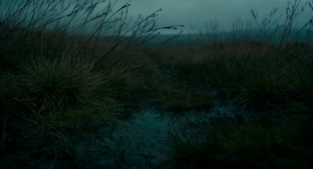Dark River (2017) movie still: establishing — A wet and overcast moorland landscape with clumps of dark grass and puddles. Tall thin grasses sway…