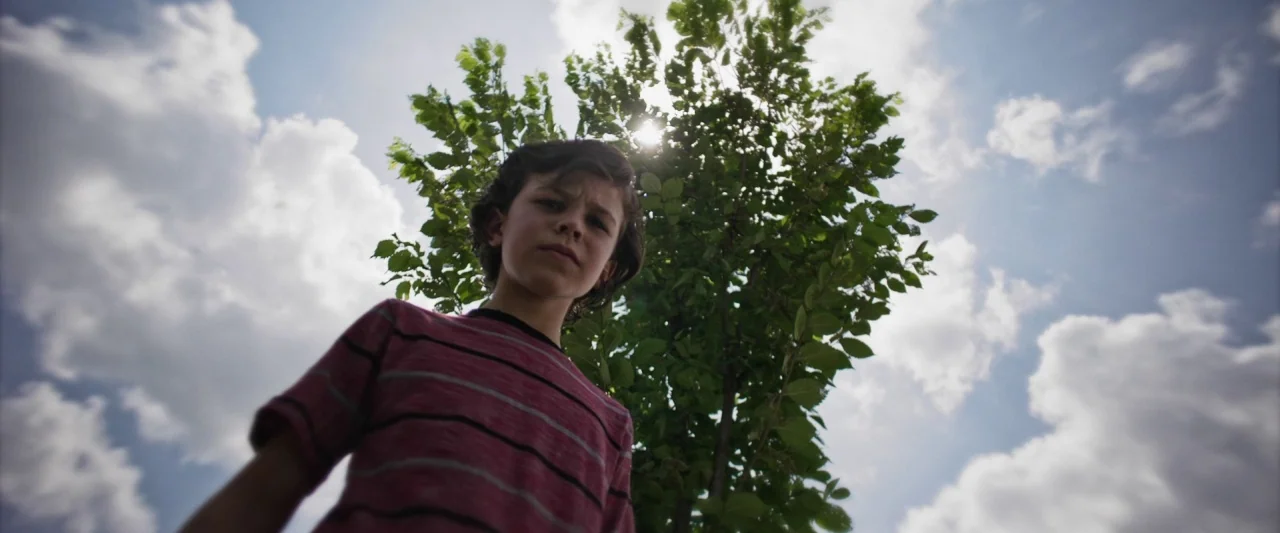 Mom and Dad (2017) movie still: medium — An open outdoor space features a bright blue sky filled with white clouds. A young boy stands before a tree…