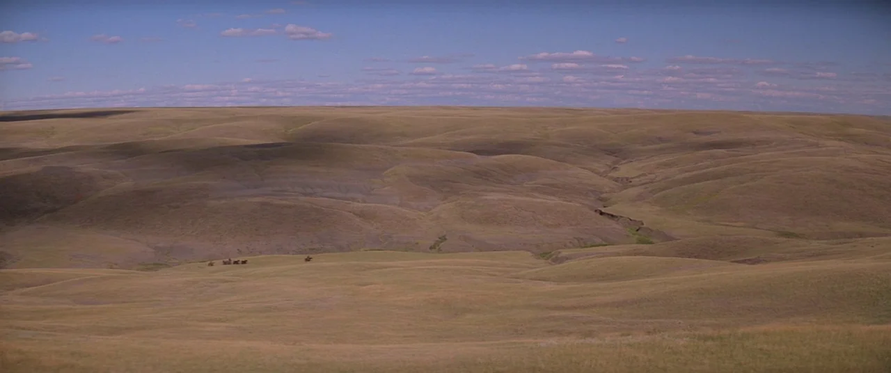 Dances With Wolves (1990) movie still: establishing — A vast, rolling prairie landscape stretches to the horizon under a wide blue sky. The terrain…