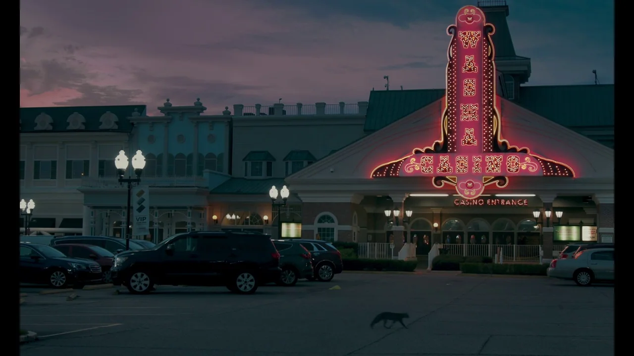 The Card Counter (2021) movie still: establishing — A quiet casino parking lot at twilight with a large illuminated neon entrance sign. A lone cat…