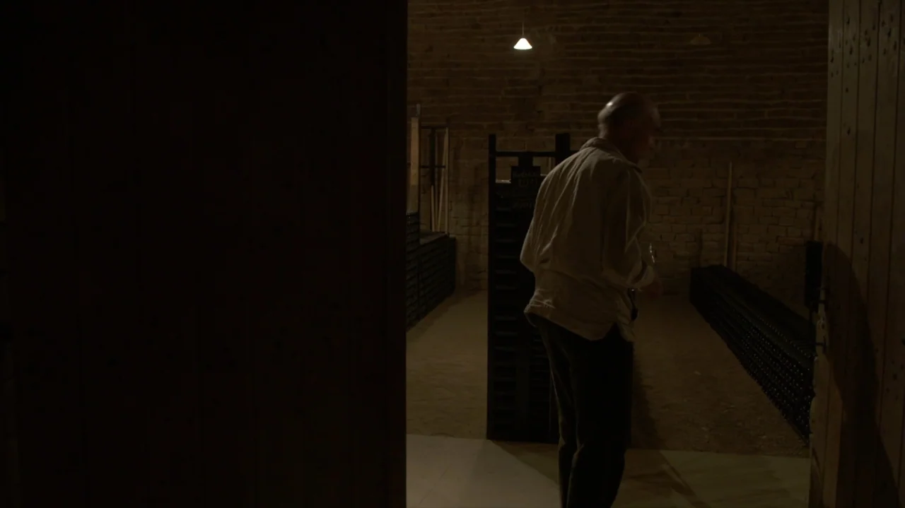 Somm: Into the Bottle (2015) movie still: medium — An aging brick cellar filled with dark racks holds bottles of wine in the shadows. A man in a…