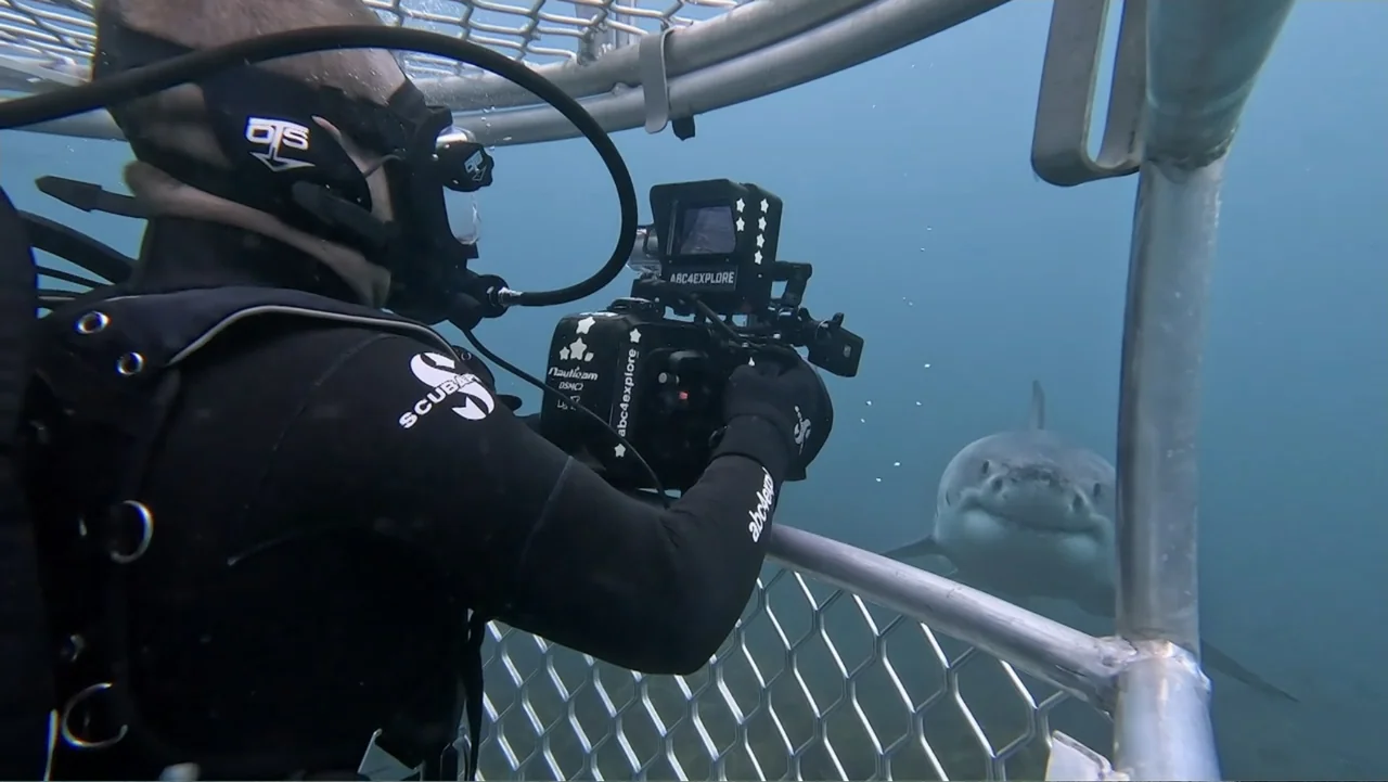 Air Jaws: Final Frontier (2023) movie still: medium — A metal shark diving cage is submerged in deep blue ocean water. A diver holds a cinema camera…