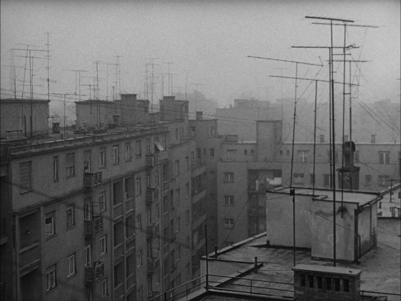 The Sun In A Net (1963) movie still: establishing — A dense urban landscape of mid-century residential apartment blocks sits under heavy fog.…