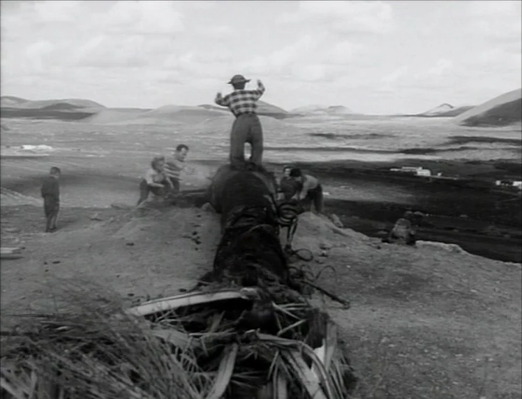 Even Dwarfs Started Small (1970) movie still: wide — An open volcanic landscape with rolling hills and black sediment under a cloudy sky. A small…