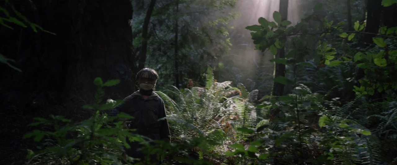 Bird Box (2018) movie still: wide — A dense, shaded temperate rainforest features towering trees and overgrown ferns in the undergrowth. A young…