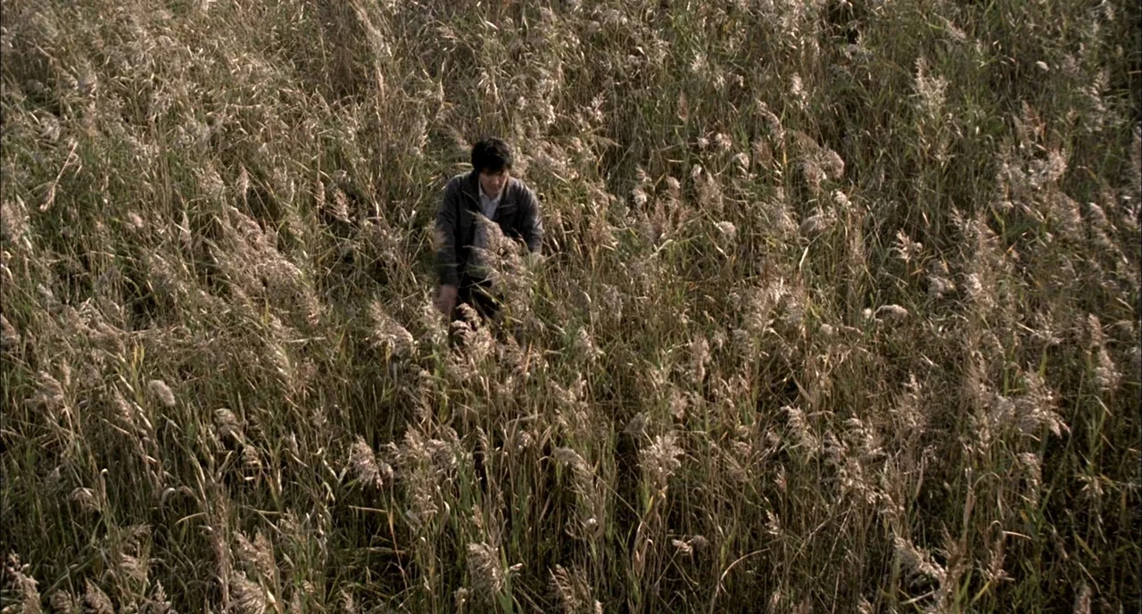 Memories of Murder (2003) movie still: wide — A vast field filled with dense, golden-brown dried reeds and tall grass. A lone man in a dark jacket…
