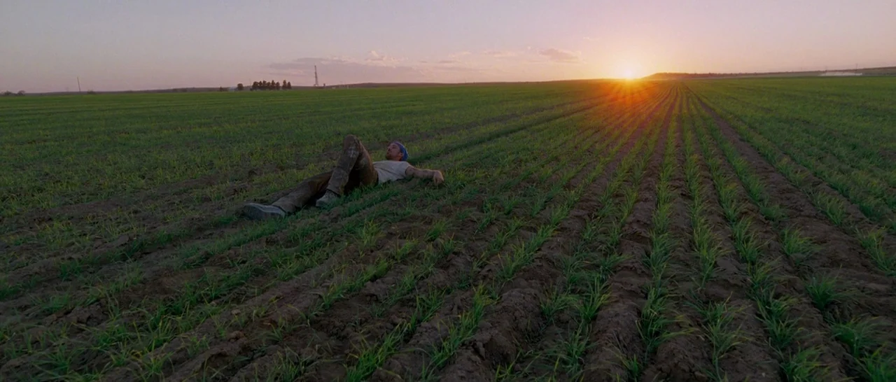 Song to Song (2017) movie still: wide — A man lies supine in a vast field of rows of young green plants. The setting sun illuminates the horizon,…