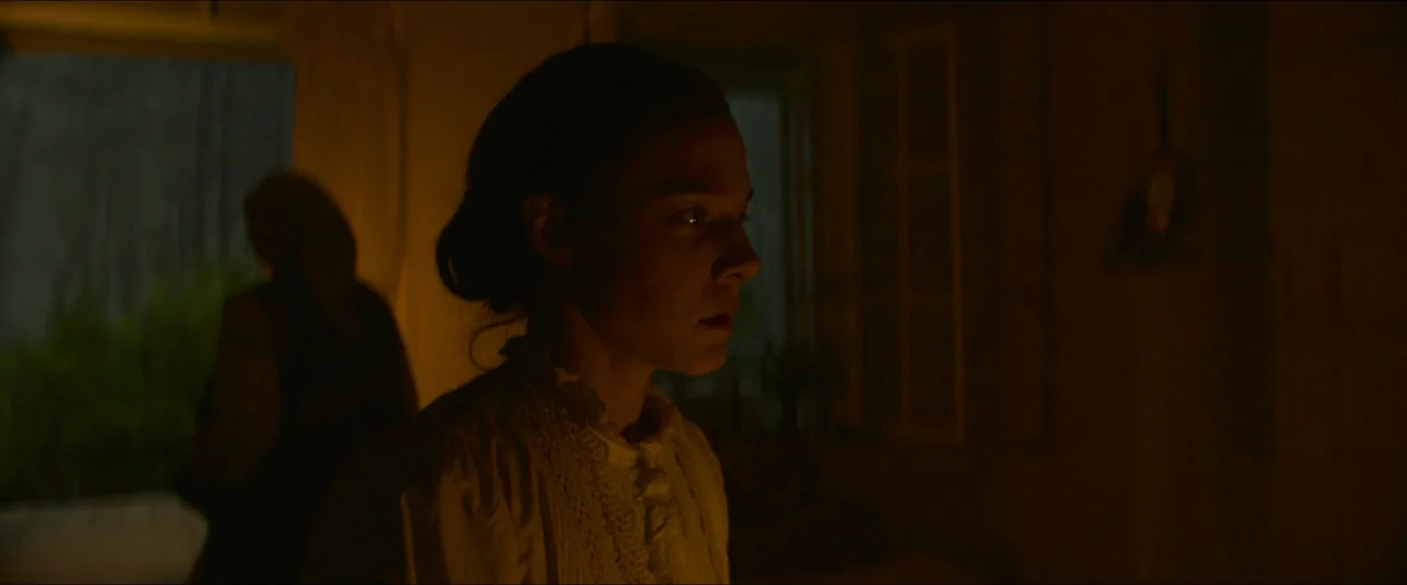Tchaikovsky’s Wife (2022) movie still: medium — A dimly lit interior space with wood-paneled walls and a window visible in back. A young woman in a…