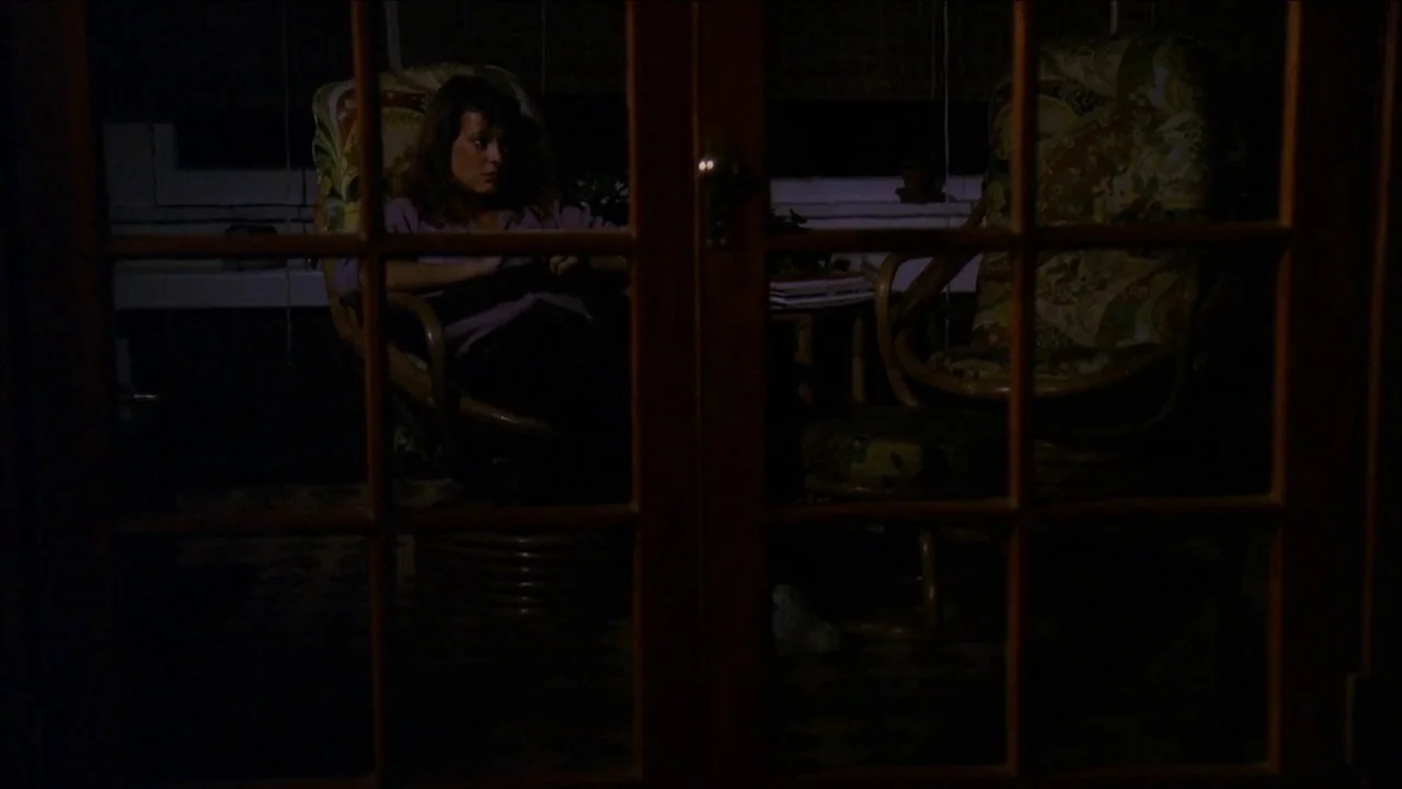 The Slumber Party Massacre (1982) movie still: medium — A dark, dimly lit sunroom viewed through glass French doors at night. A young woman sits in…