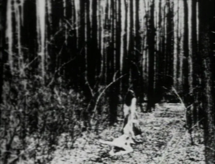 Begotten (1989) movie still: wide — A dense forest with tall trees lines a narrow path covered in leaves. A lone figure dressed in white stands on…