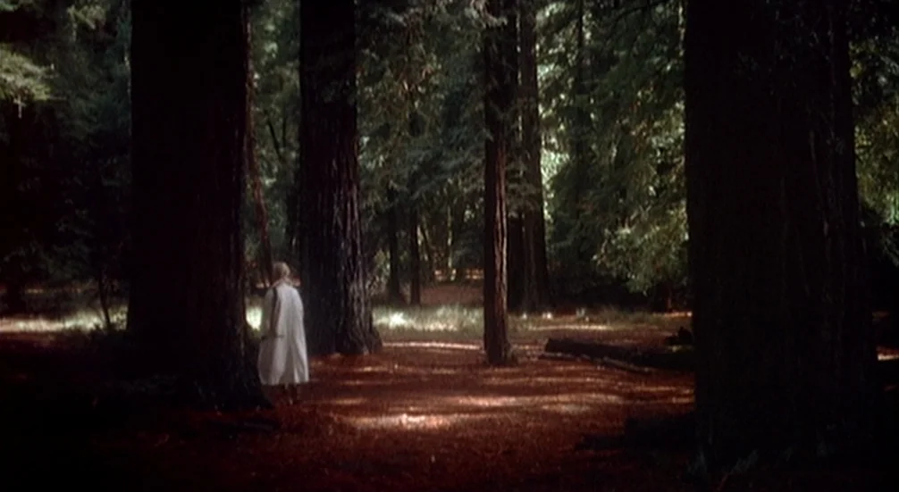 Vertigo (1958) movie still: wide — A dense grove of towering redwood trees fills a forest clearing covered in needles. A lone person in a white coat…