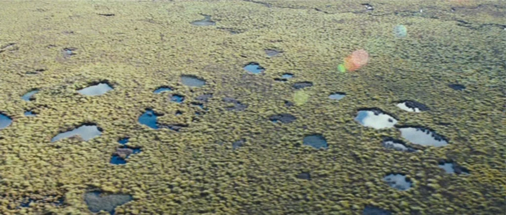 The Hunter (2011) movie still: establishing — An aerial view shows a vast, textured mossy wetland filled with scattered, dark pools. Small natural…