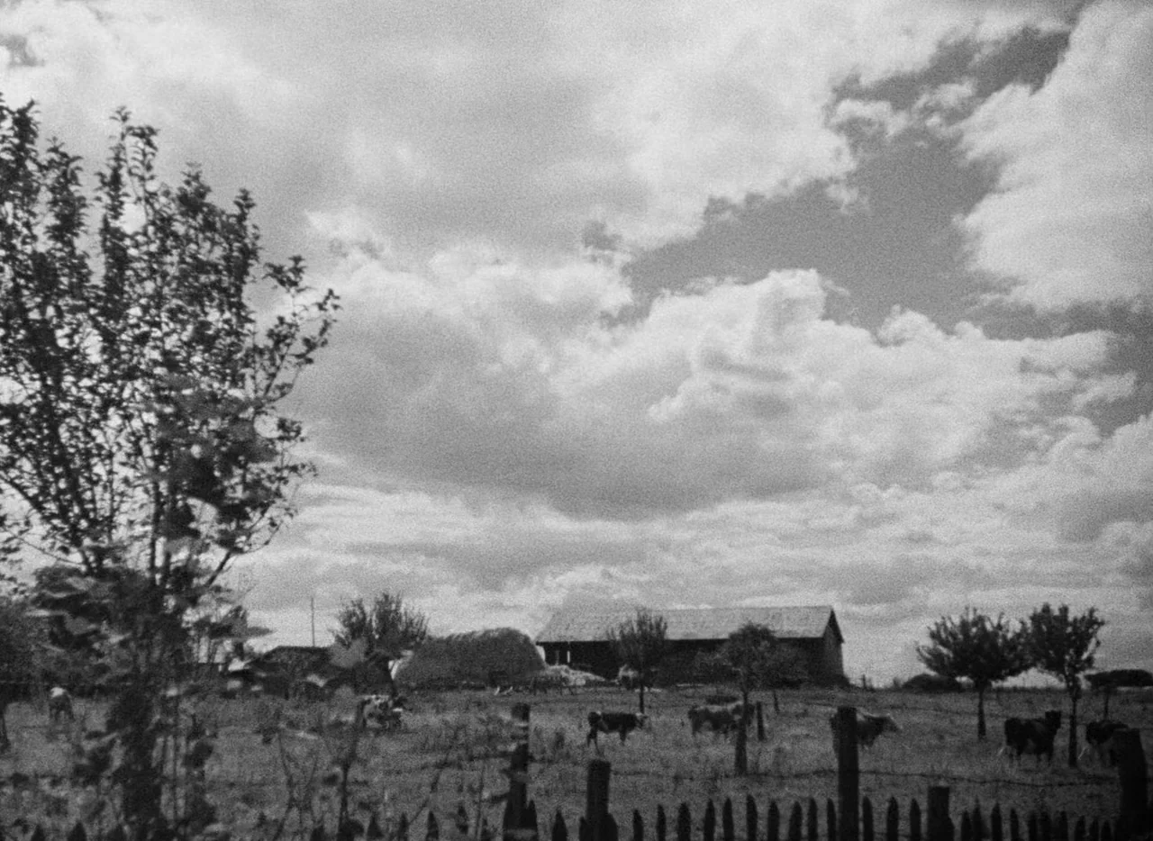 Le Corbeau (1943) movie still: wide — A rural pasture is framed by a wooden picket fence in the foreground. Several cows graze near a distant barn…