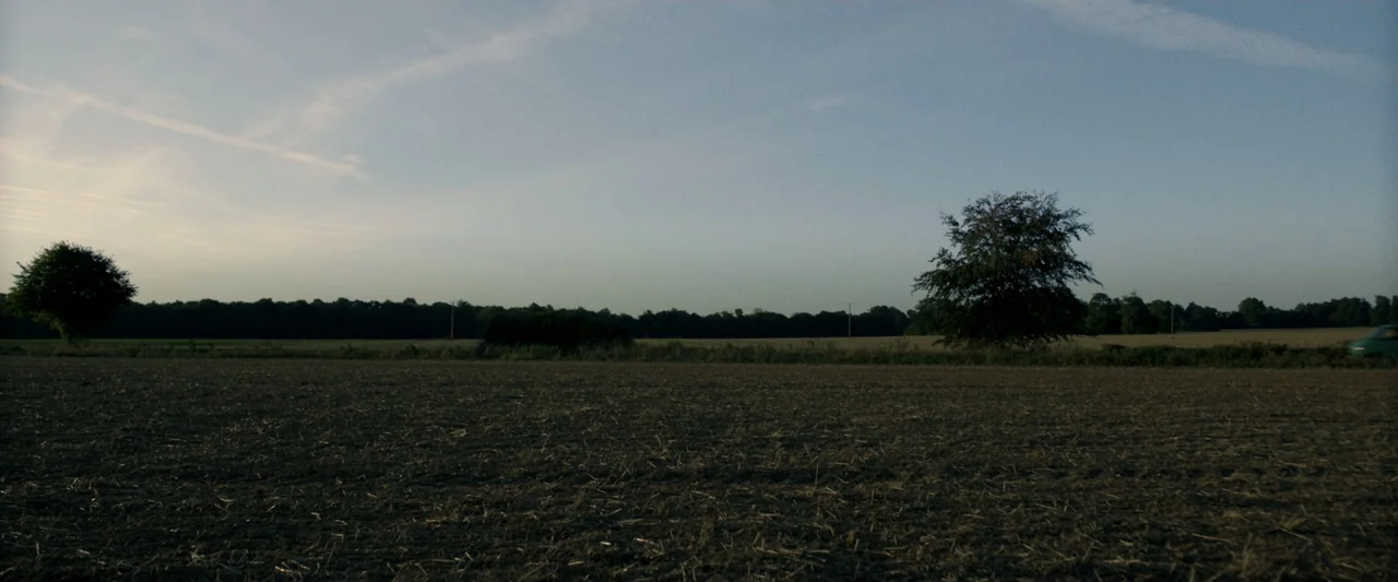 Winnie-the-Pooh: Blood and Honey 2 (2024) movie still: wide — A vast harvested agricultural field stretches toward a treeline under a pale evening…
