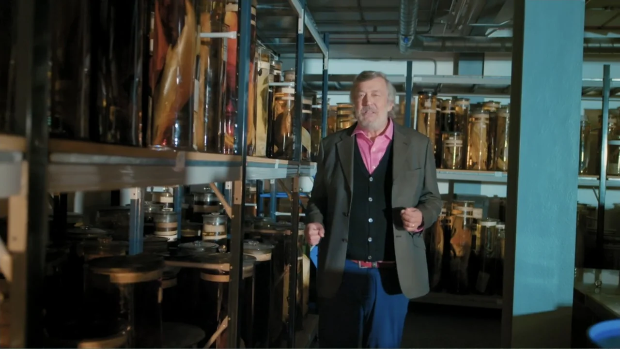 Fantastic Beasts: A Natural History (2022) movie still: medium — An aisle in a museum archive is lined with metal shelving holding glass jars. A man…