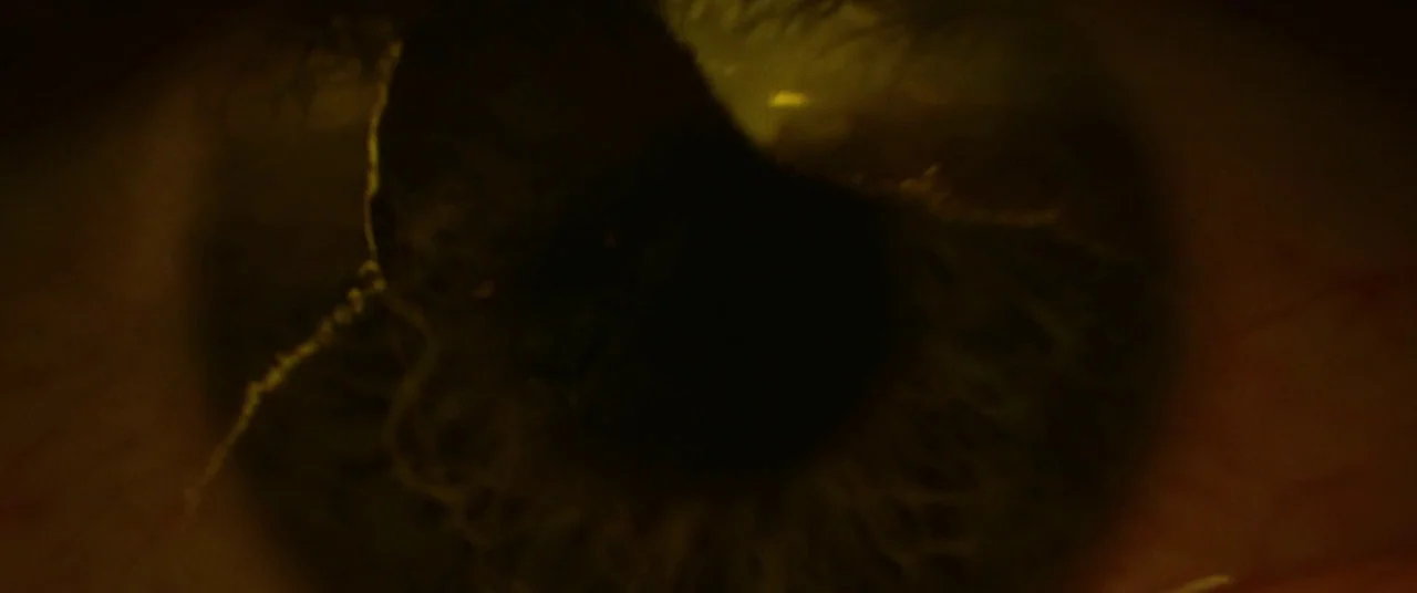 Kong: Skull Island (2017) movie still: closeup — Extreme close-up of a human eye focused on the detailed texture of the iris. A thin, bright line of…
