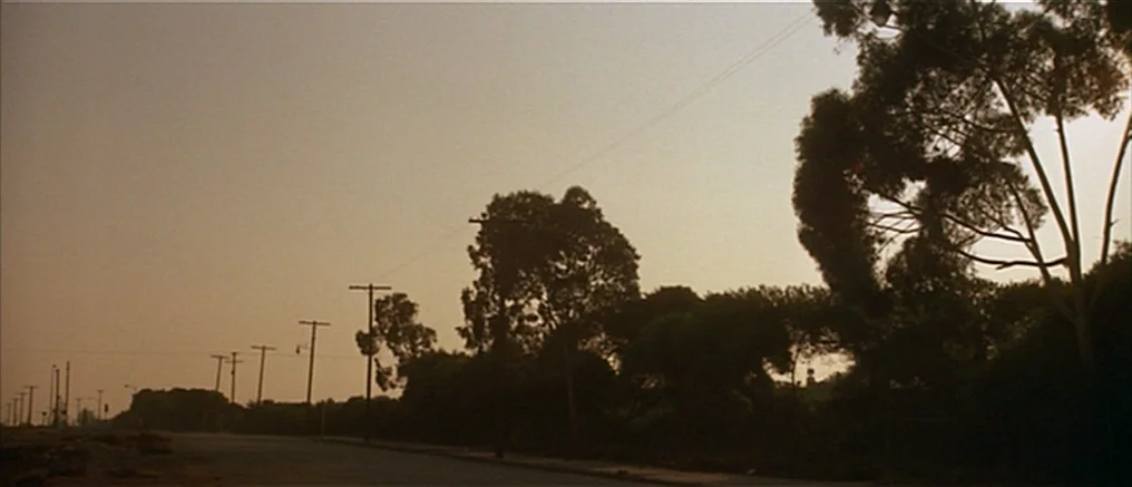 Assault on Precinct 13 (1976) movie still: establishing — An empty asphalt road stretches past a line of telephone poles and dense trees. The…