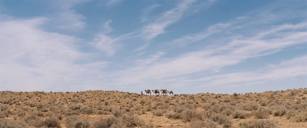 Tracks (2013) movie still: wide — A vast, dry desert landscape stretches under a bright blue sky with wispy clouds. A small caravan of camels led by…