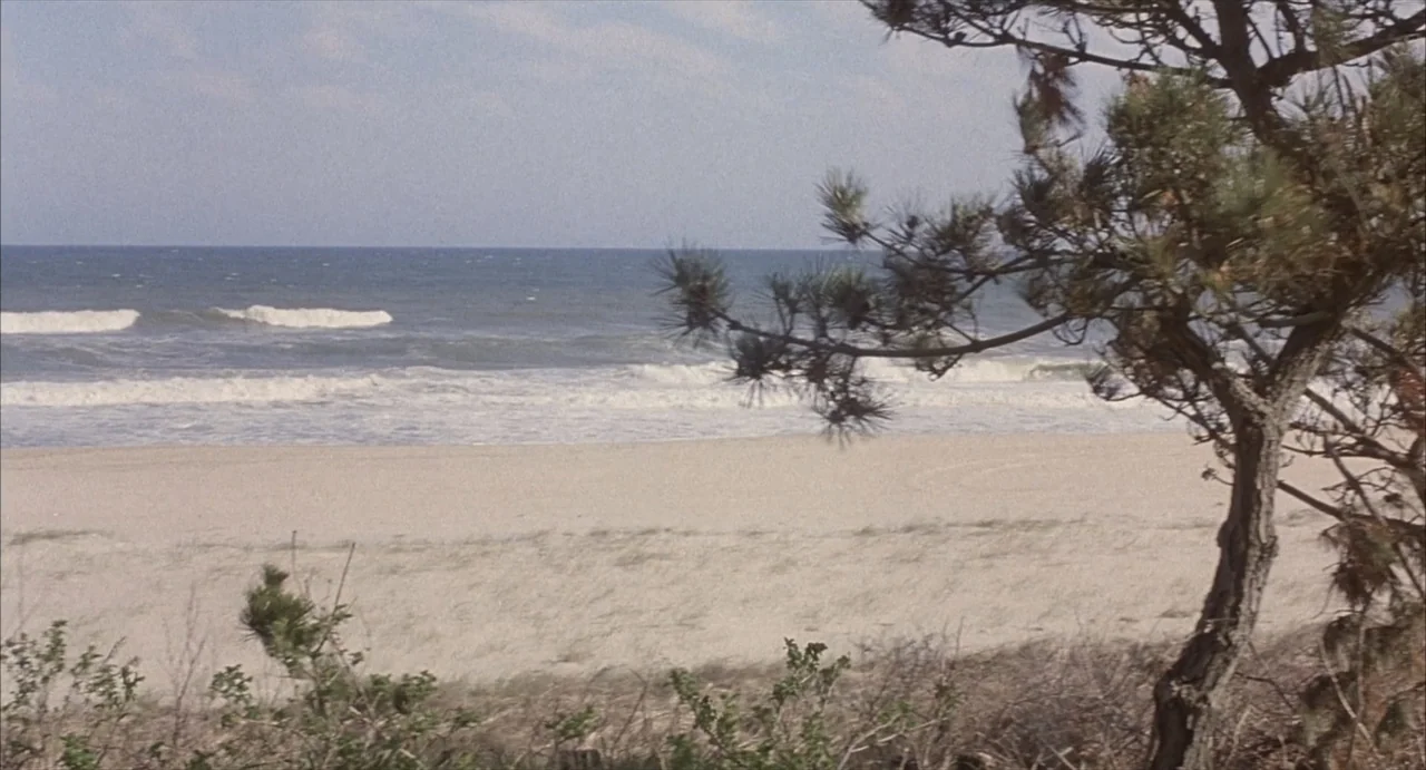 Masquerade (2023) movie still: wide — A sandy shoreline meets the ocean under a pale sky. A coniferous tree stands in the foreground to the right…