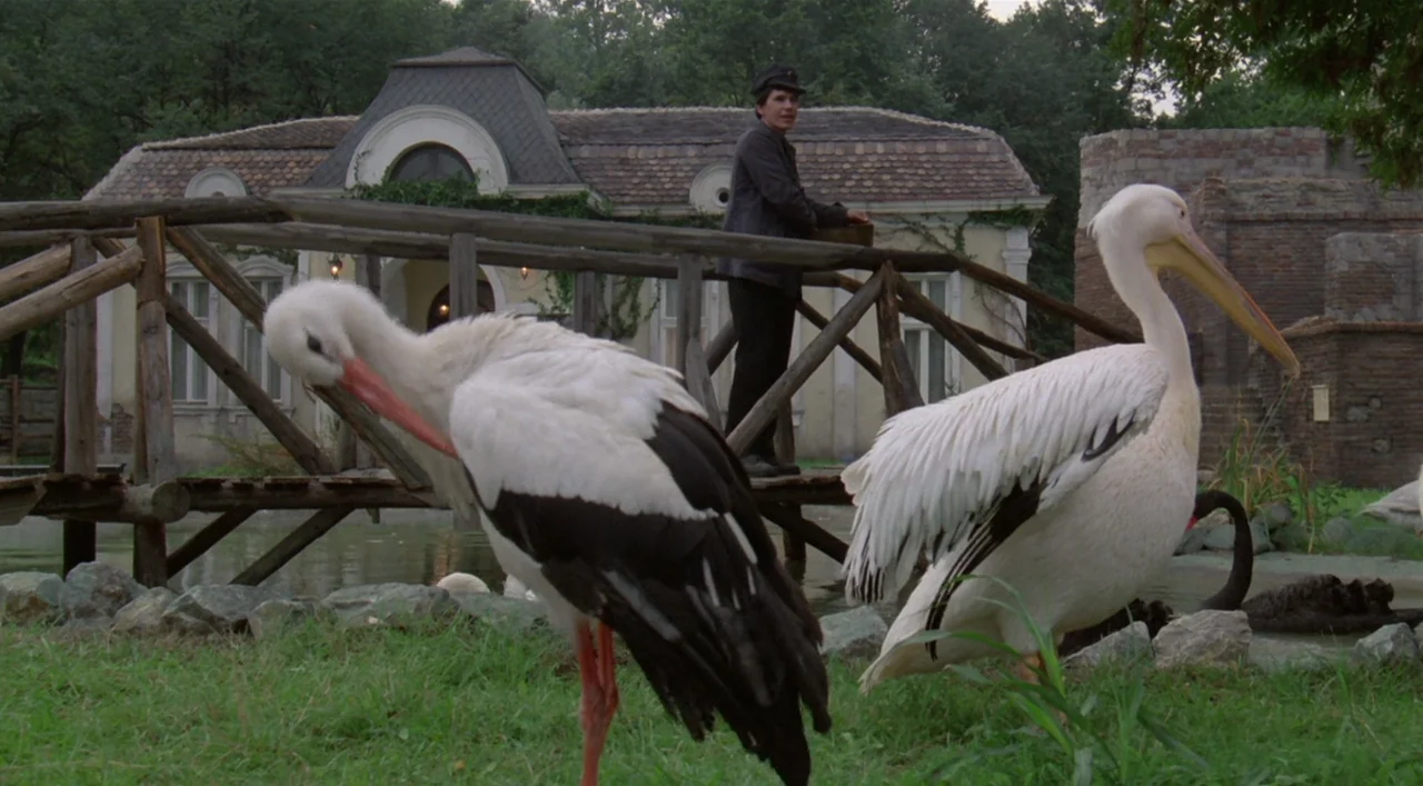 Underground (1995) movie still: fullbody — A grassy bank with birds near a pond and a small wooden footbridge. A person in dark clothing stands on…