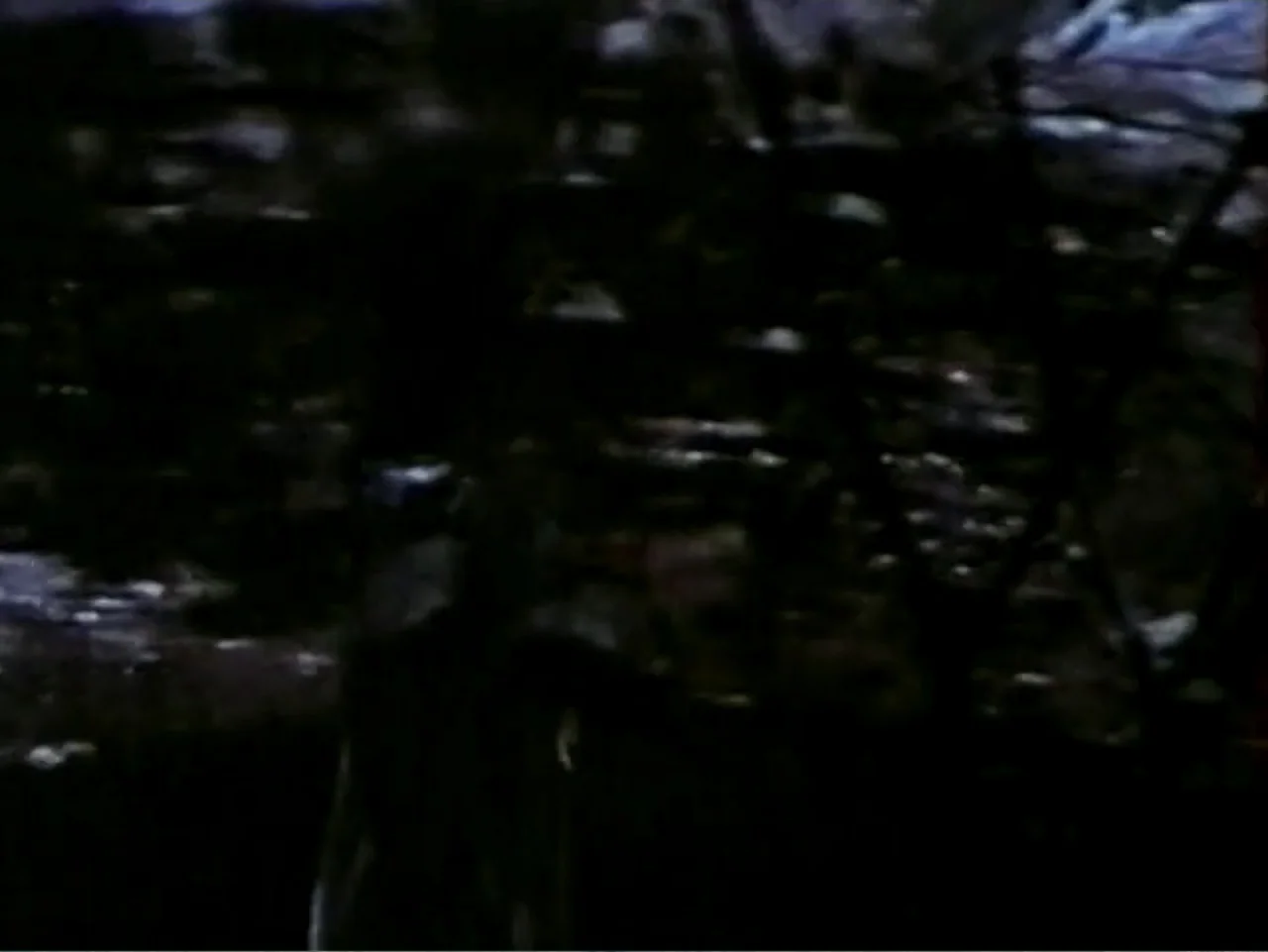 In the Year 2889 (1969) movie still: wide — A dense patch of dark, tangled vegetation occupies a nighttime outdoor space. Tall grasses and tree…