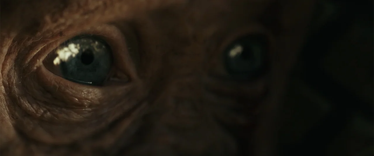 Rampage (2018) movie still: closeup — A close extreme detail of an aged, wrinkled face with prominent blue eyes. The skin is deeply textured and…