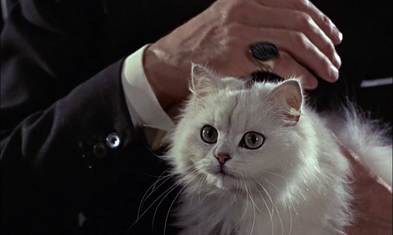 From Russia With Love (1963) movie still: closeup — A dark, nondescript interior background sets off the subjects in the foreground. A man wearing a…