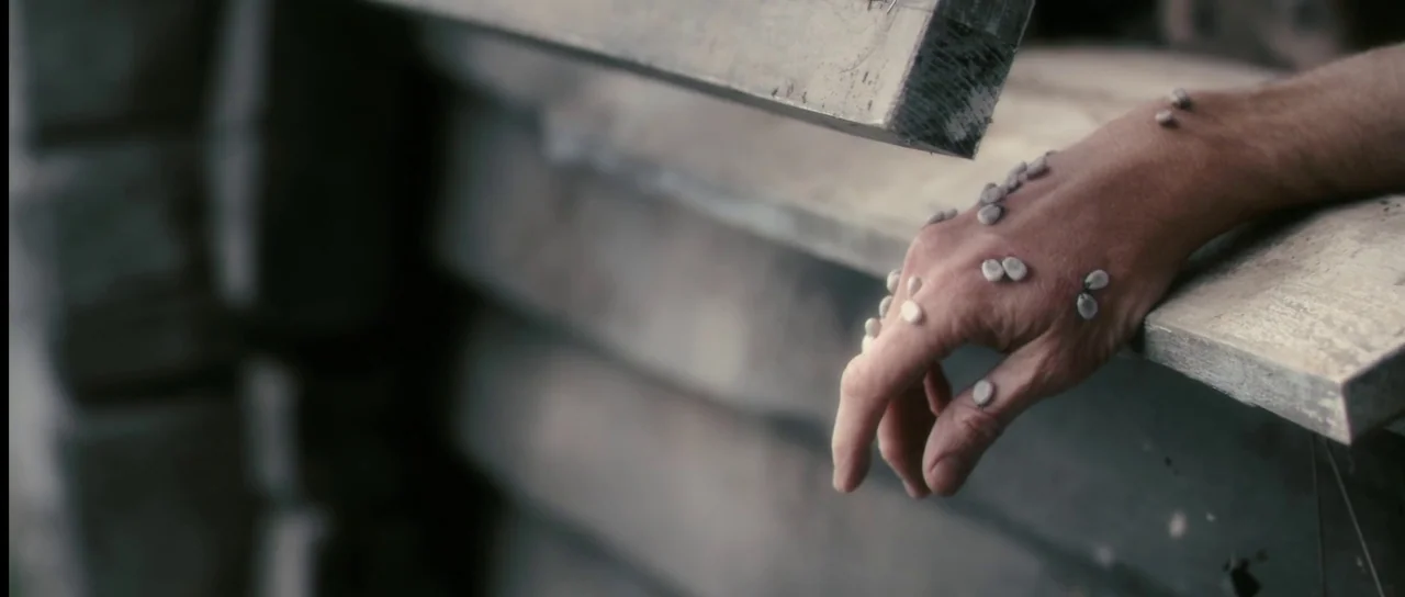 Antichrist (2009) movie still: closeup — A weathered wooden ledge holds a resting human hand covered in multiple embedded ticks. The background…