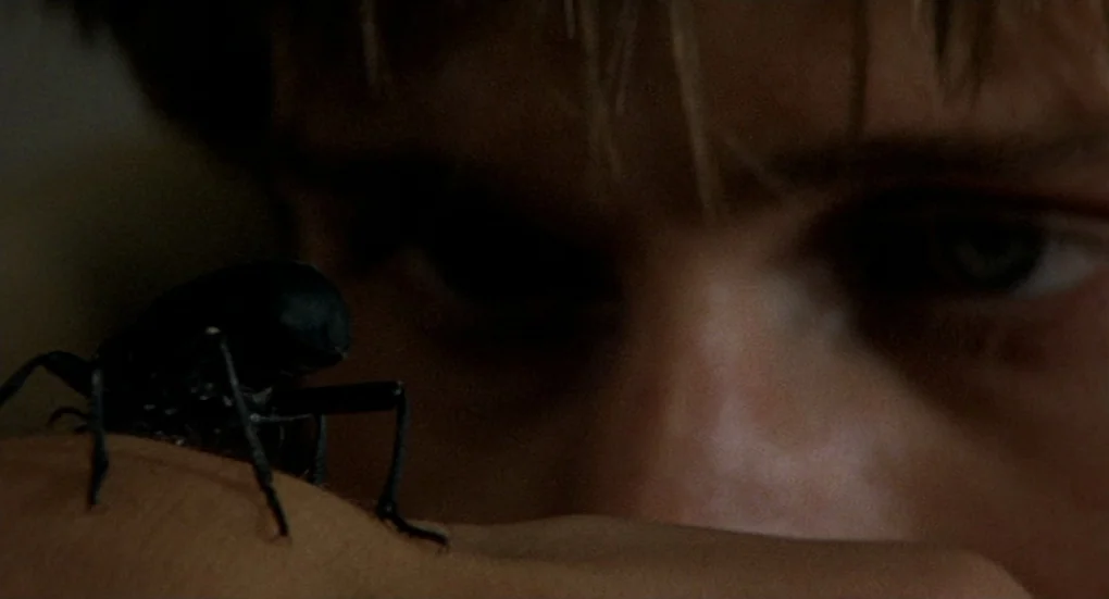 Furia (1999) movie still: closeup — A close-up view shows a black beetle positioned on a person's hand. The blurred background reveals a boy…