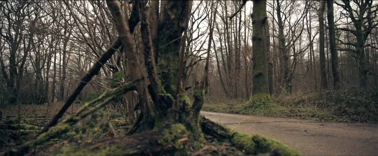 Jeepers Creepers: Reborn (2022) movie still: wide — A narrow dirt path winds through a dense deciduous forest during late autumn. Trees with…