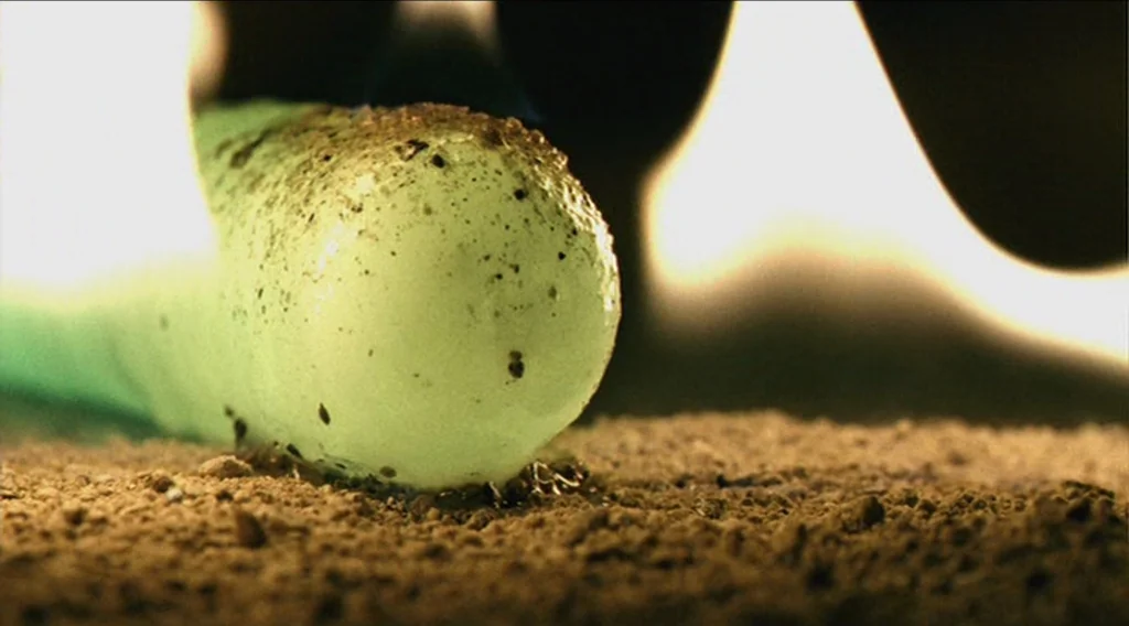 Buried (2010) movie still: closeup — A close-up view of a pale, translucent cylindrical object resting on dirt. Specks of debris cover the surface…