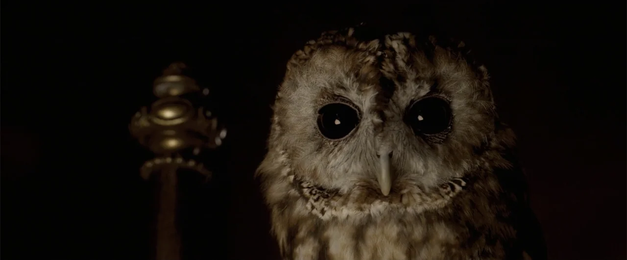 The Golden Compass (2007) movie still: closeup — A dark interior setting features a tawny owl positioned in front of a golden staff. The bird…