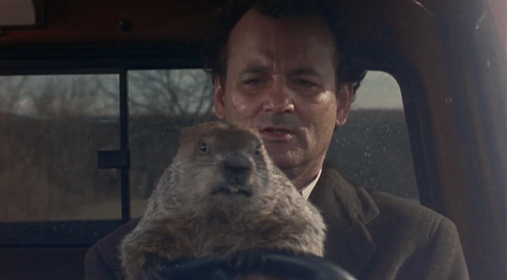 Groundhog Day (1993) movie still: medium — Inside a vehicle cabin, a man sits next to a large furry groundhog. The man grips the steering wheel…