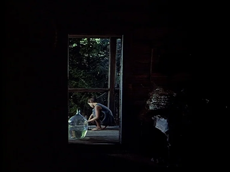 Mirror (Зеркало, Zerkalo) (1975) movie still: wide — A dark wooden interior frame opens to a sunlit porch overlooking dense green foliage. A young…